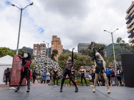 Obra The Wolf Experience, foto de Mathew Valbuena
