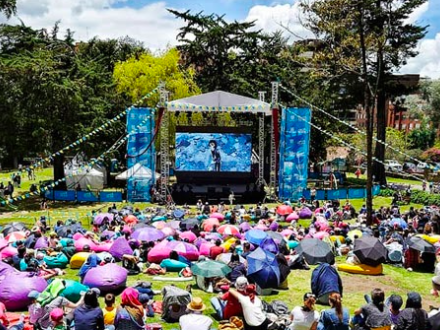 personas sentadas en un parque viendo cine 