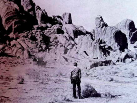 Vaquero en desierto