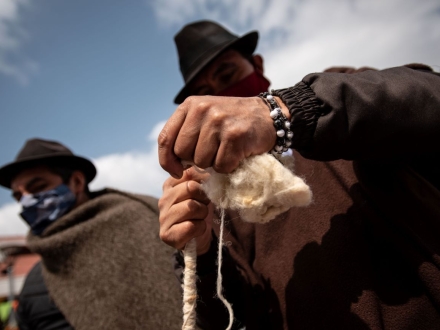 Campesinos