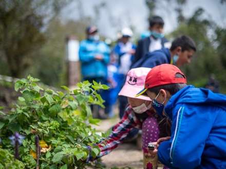 Dos niños analizando dos plantas con una grabadora. 