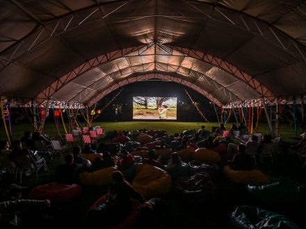 Personas sentadas en un parque viendo cine 