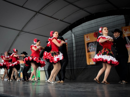 Grupo de danza llanera