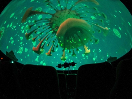 Proyección en el domo del Planetario