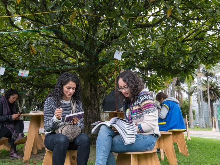 mujeres leyendo bajo los árboles