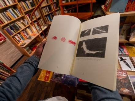 Libro abierto