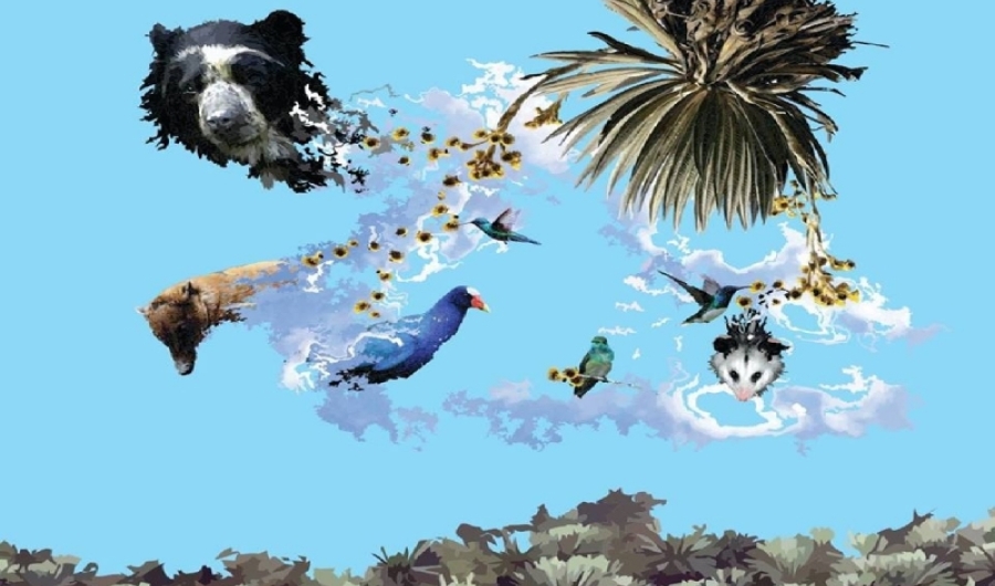 Sembrando canciones pa’ hacer crecer la vida - Bosa