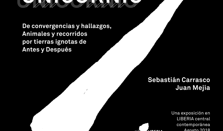 Flyer Unicornio