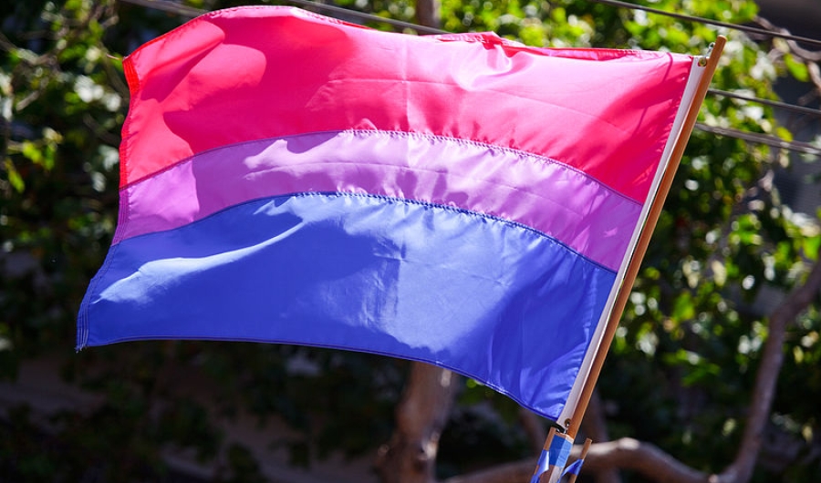 Bandera bisexual - Fotografía Wikimedia Commons - Peter Salanki, de San Francisco