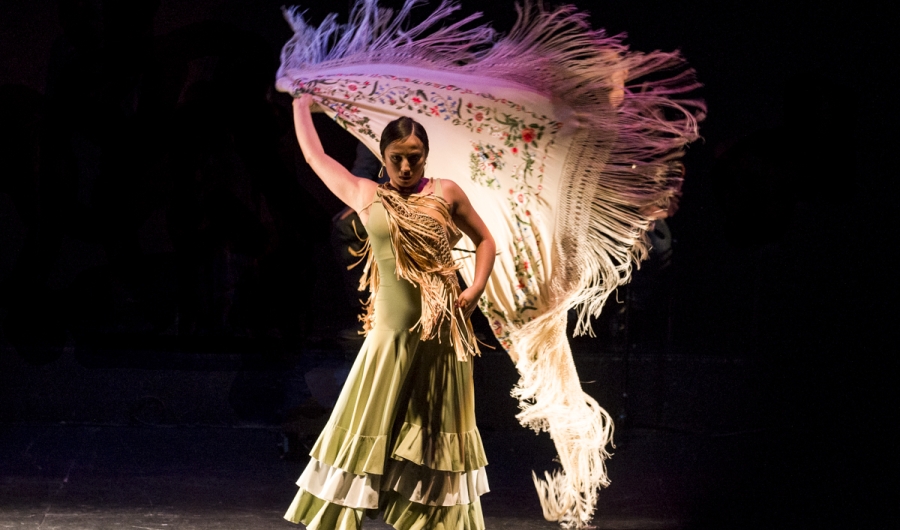 bailarina en escena