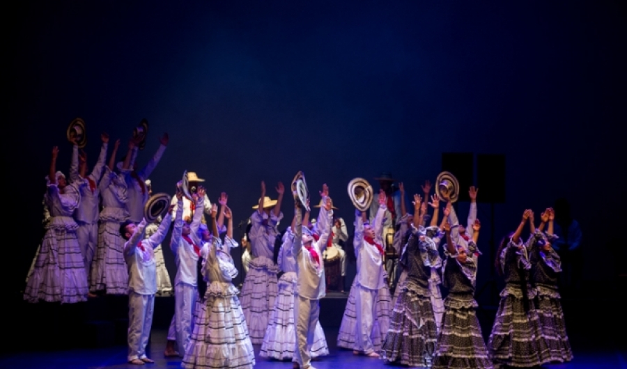 Grupo danza