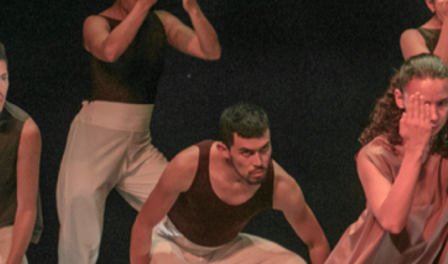 Cámara de Danza