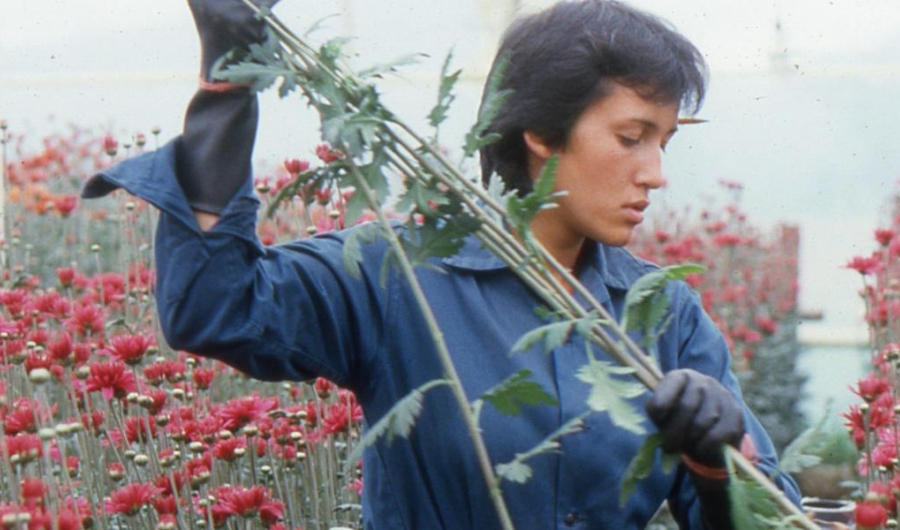 Amor, mujeres y flores