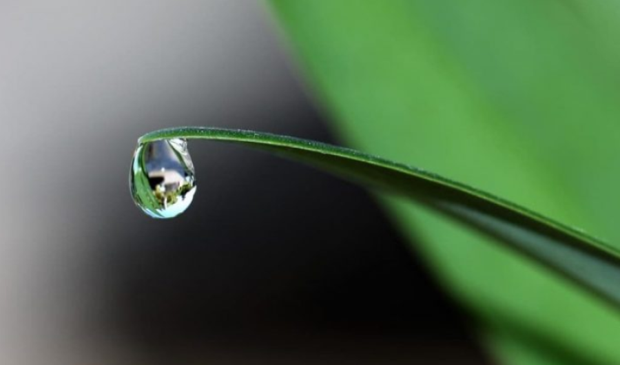 Mucho más que una molécula de agua
