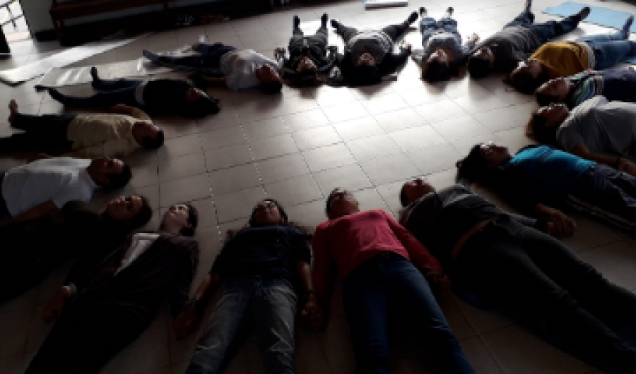 Órganos en paz la transformación empieza adentro