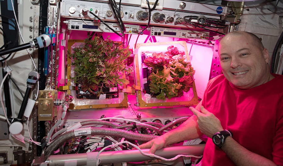 Cultivos en el espacio