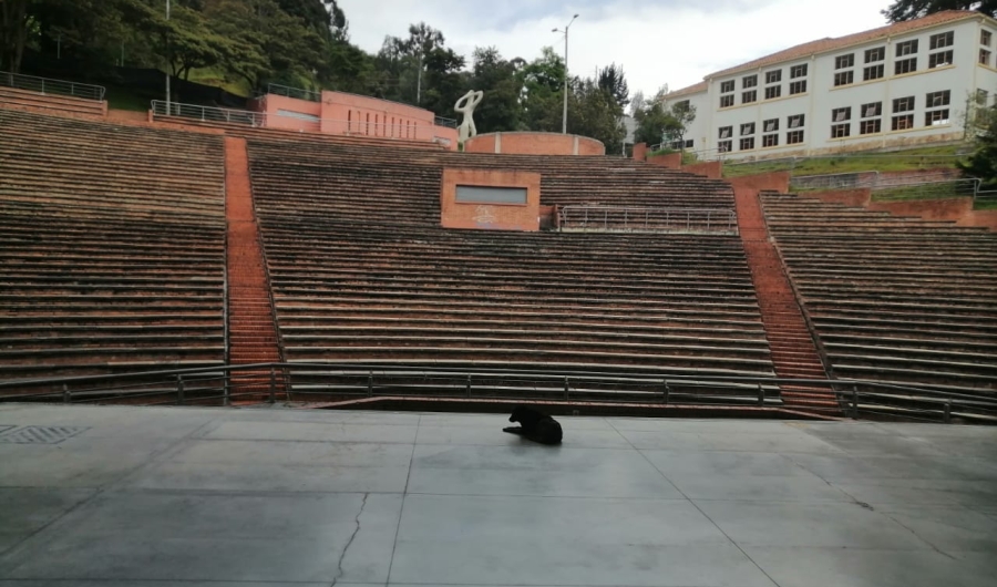 La otra mitad de La Media Torta
