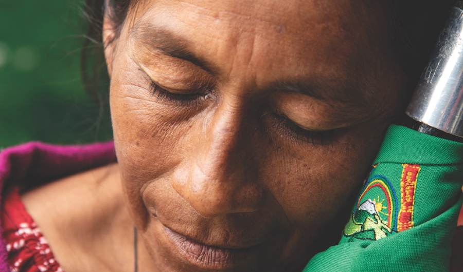 Kite Kiwe: Tierra floreciente