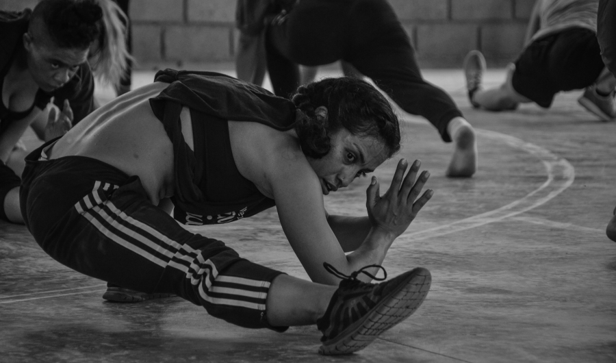 Orbitante, Plataforma Danza Bogotá