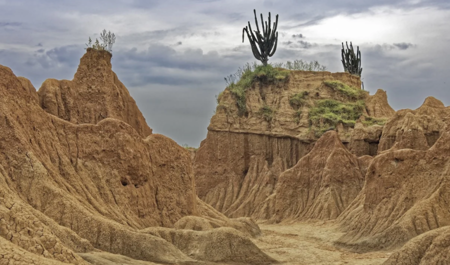 Paisajes extraterrestres en nuestro hogar
