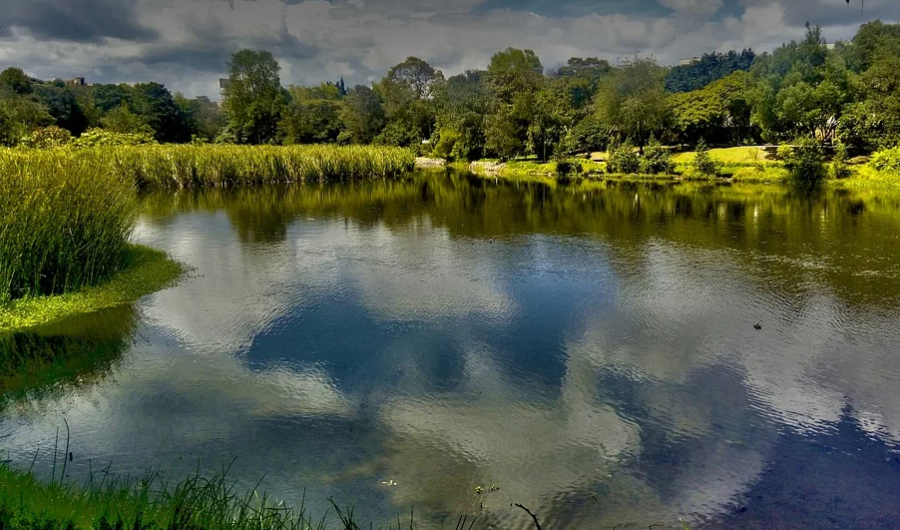 Patrimonio biocultural