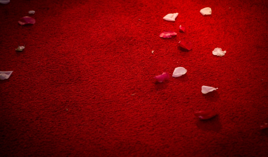 Alfombra Roja