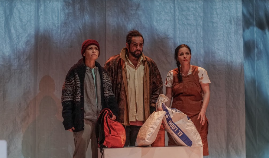 Festival Mujeres en escena