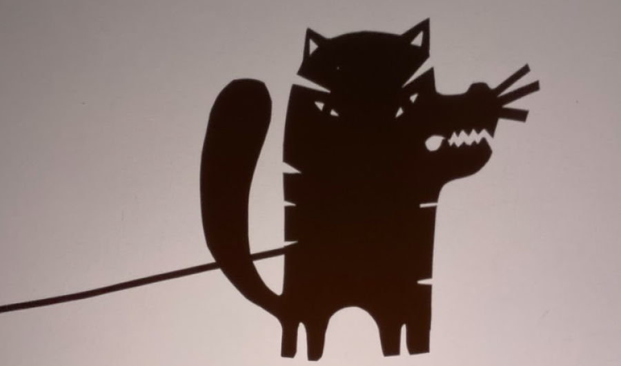 sombras de gatos