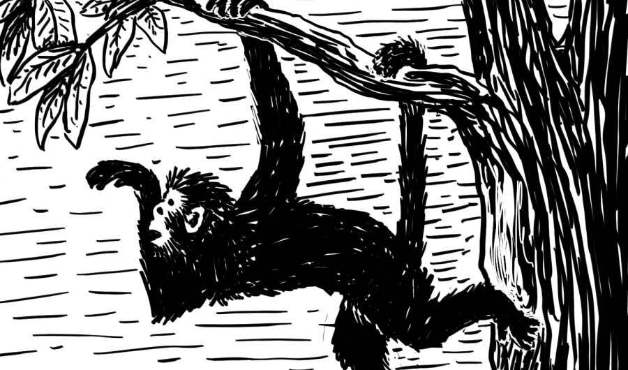 Fábulas de Tamalameque de Manuel Zapata Olivella. Ilustración Rafael Yockteng