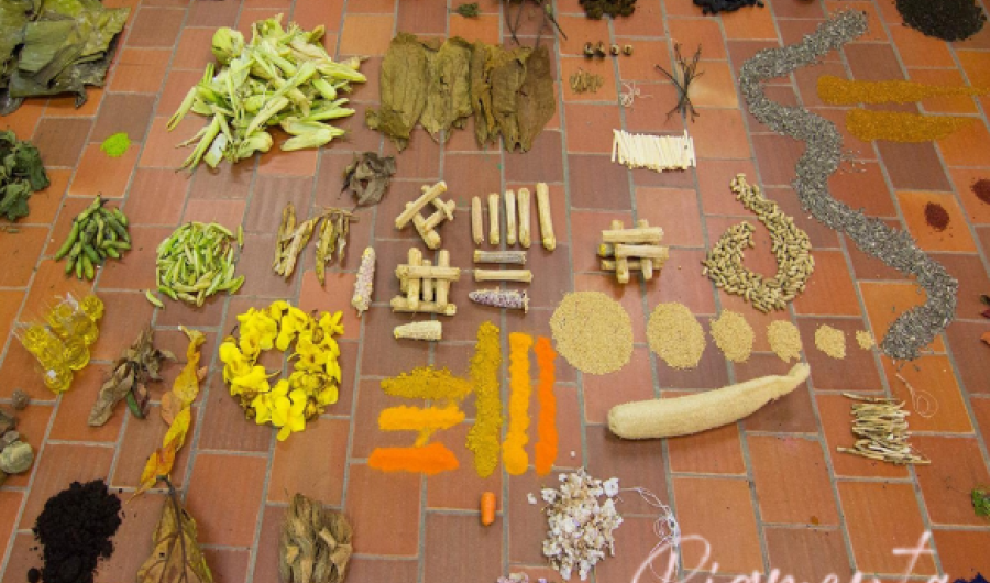 Laboratorio de Arte y Naturaleza