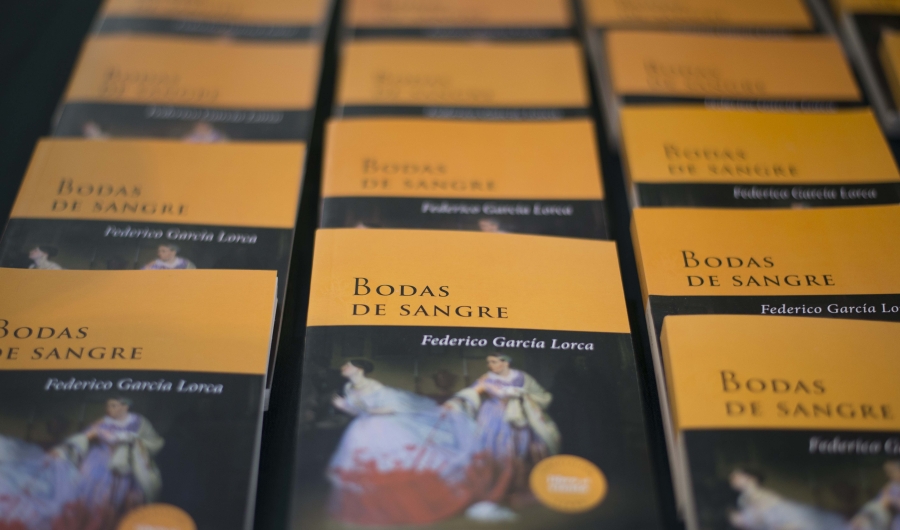 Radionovelas Libro al Viento, 2021.