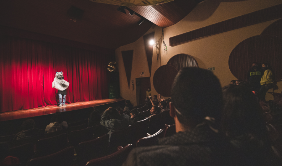 Artista en escena