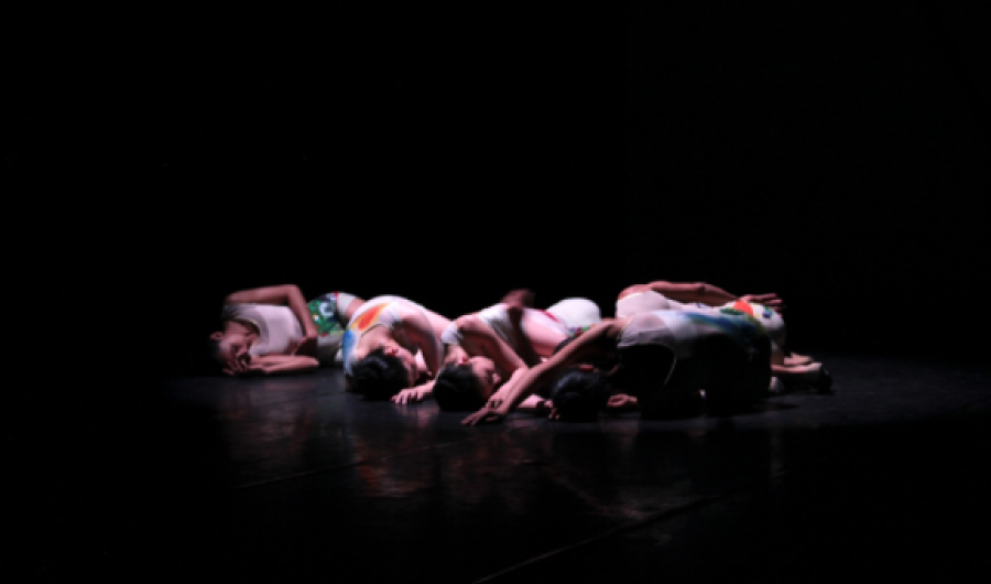 Compañía DanceBog Ballet