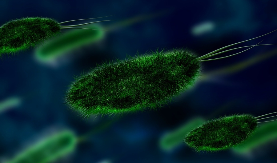Foto de bacterias verdes sobre fondo azul.