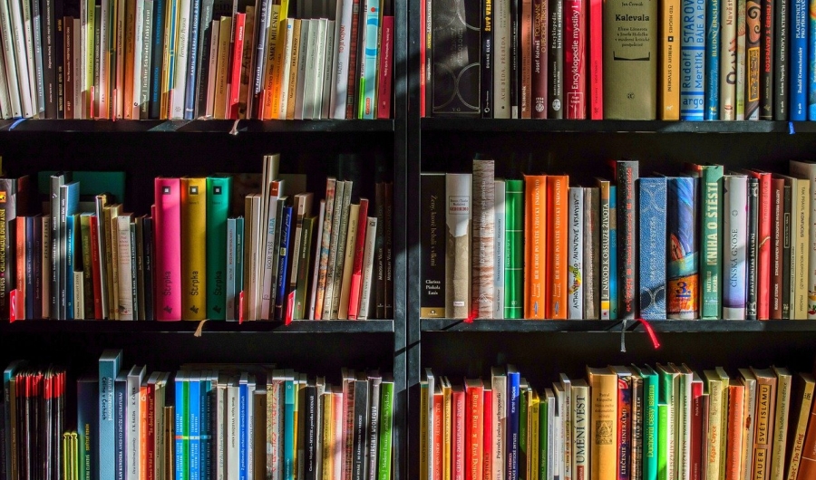 Libros acumulados en estanterías