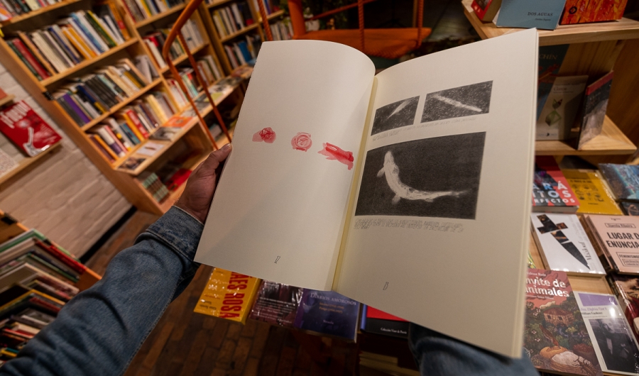 Libro abierto en manos de una persona
