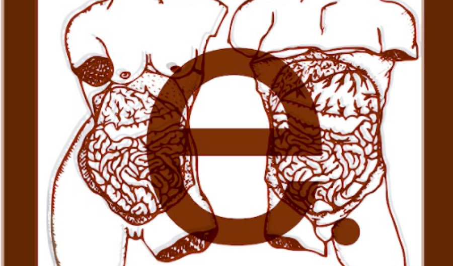 Gráfica con dos torsos
