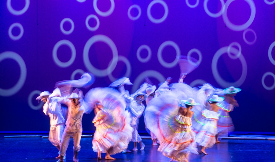 Danza folclor