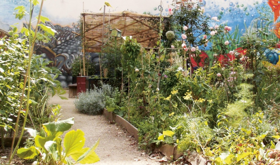 Huerta urbana