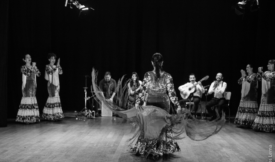 Artistas en escena