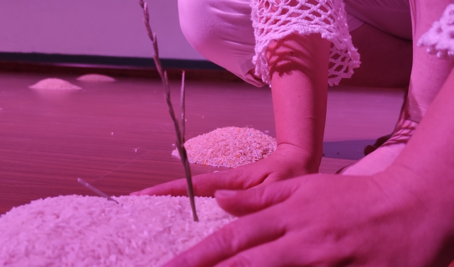 Manos con montoncito de arroz