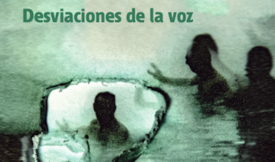 Libro Desviaciones de la Voz. Una aproximación al cine de no ficción colombiano