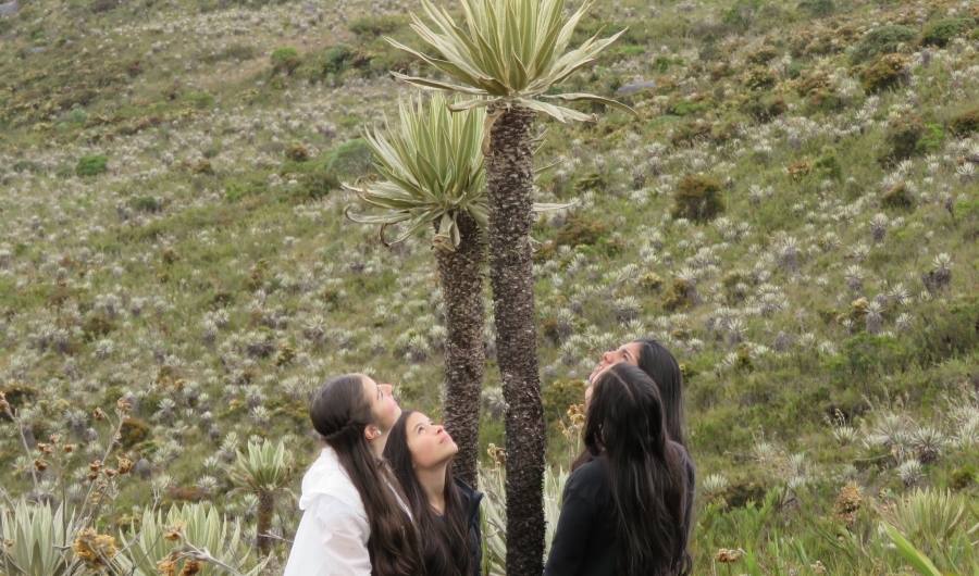 El Son del Frailejón