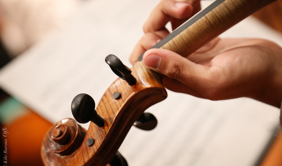 Músico con violín