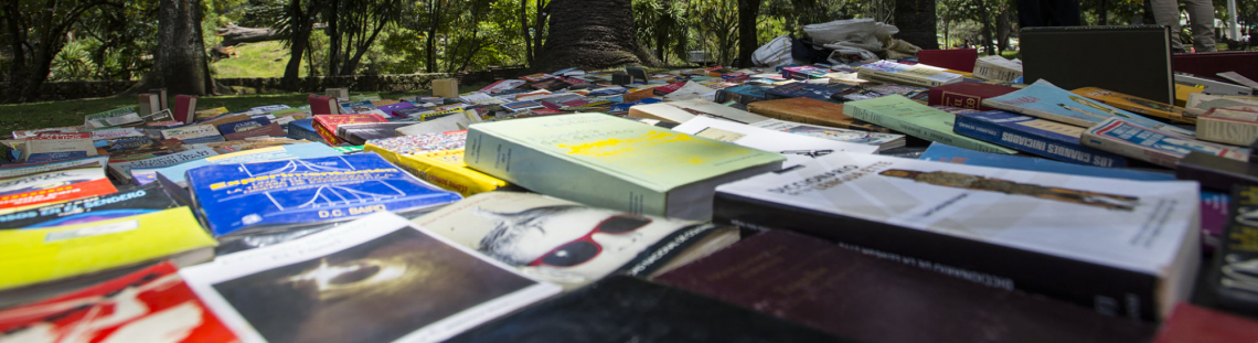 Libros extendidos en el suelo de un parque