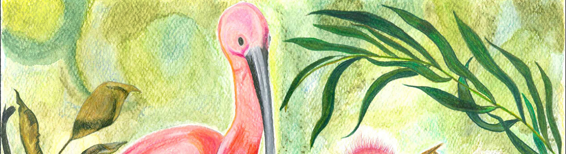 Corocoras rosadas, una mamá con sus dos polluelos en medio de la naturaleza del humedal