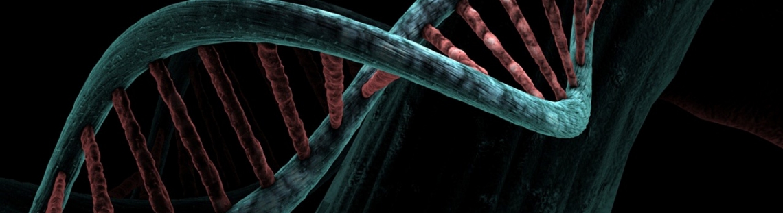 Simulación de un ADN