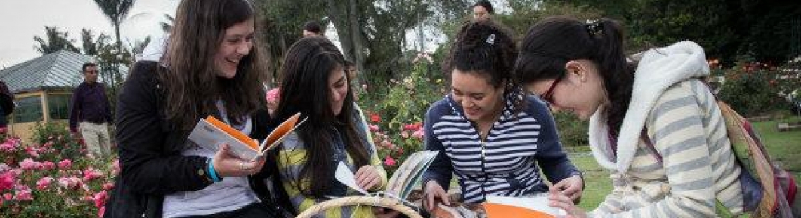 Mujeres leyendo libros en un pícnic