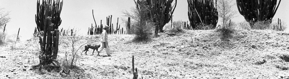 hombre camiando en desierto