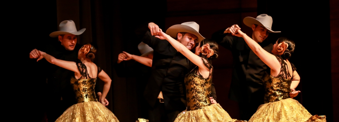 [Noticias] Con ritmo y zapateo, el Llanódromo se toma Joropo al Parque ...